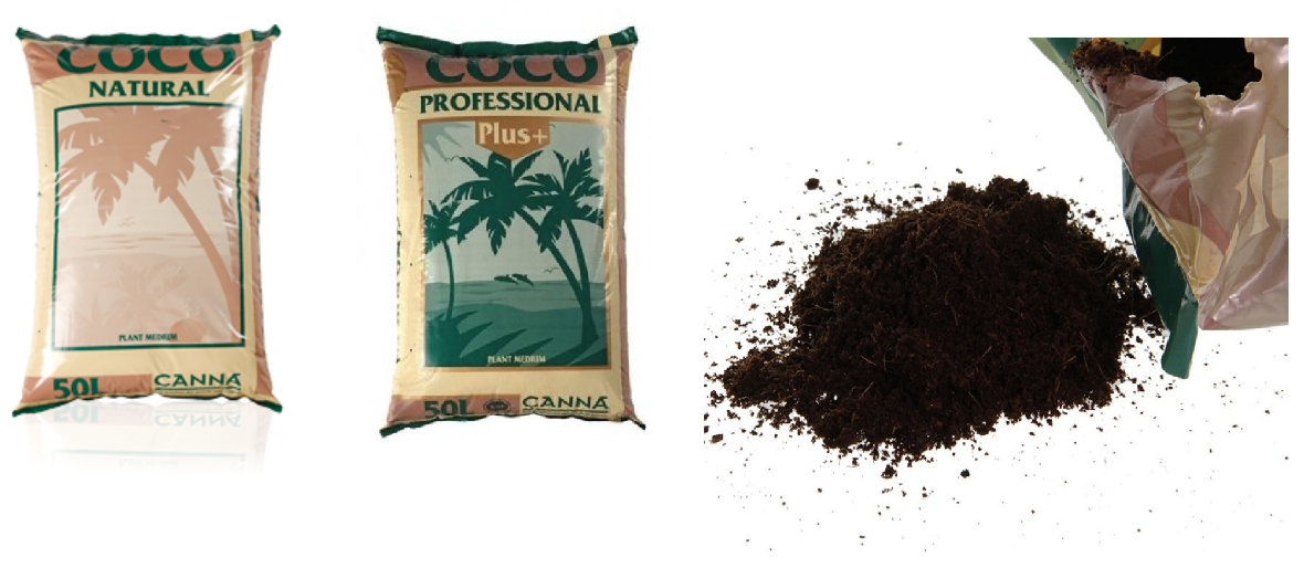 CANNA_COCO komplet